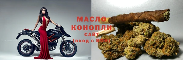 тгк Новодвинск