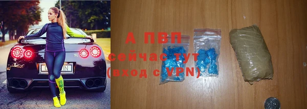 тгк Новодвинск