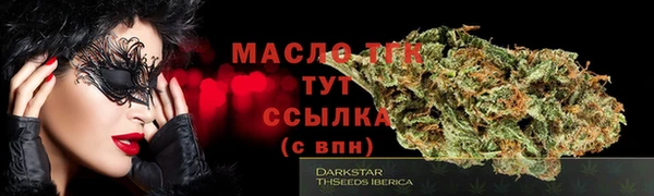 соль ск Новозыбков