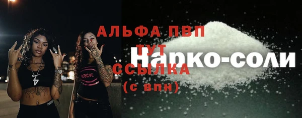 соль ск Новозыбков