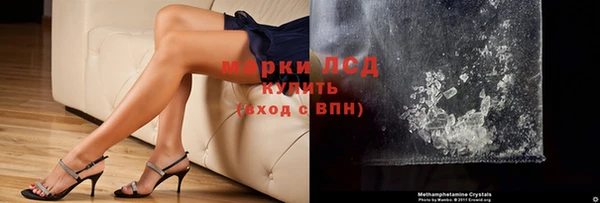 соль ск Новозыбков