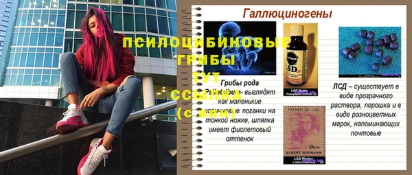 эйфоретик Нея