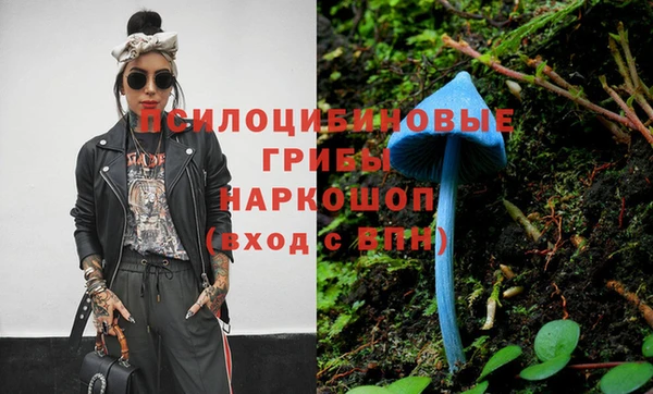 a pvp Новокубанск
