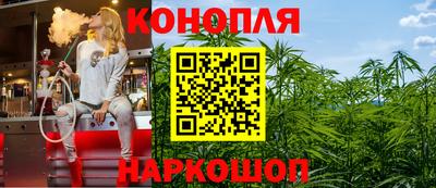амф Донской