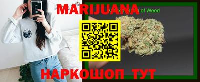 гашик Берёзовский