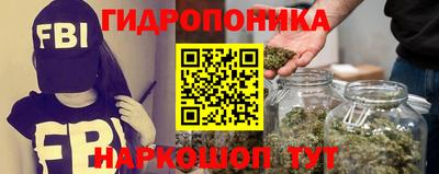 стафф Бийск