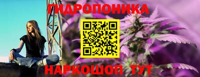 амф Донской