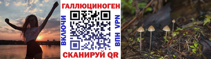 Псилоцибиновые грибы Cubensis Мирный