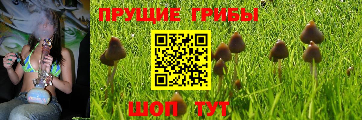 Псилоцибиновые грибы Magic Shrooms Мирный