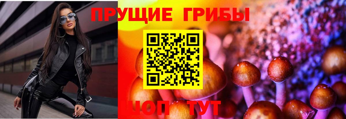 Мирный  Псилоцибиновые грибы мицелий  Вход с VPN 