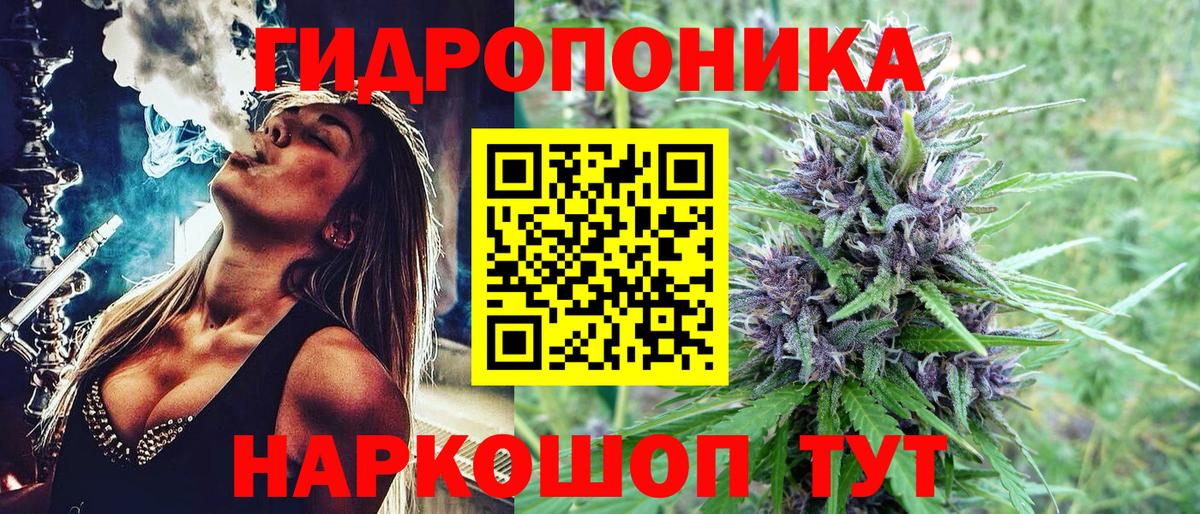 Шишки марихуана White Widow  Шишки марихуана гибрид  Мирный  Бошки марихуана марихуана 