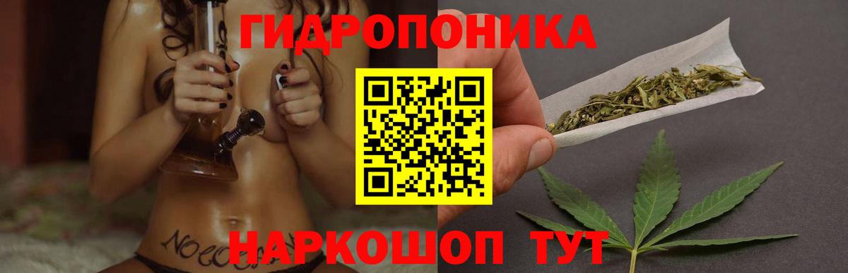 Шишки марихуана OG Kush  Вход с VPN  Мирный  Шишки марихуана VHQ  Марихуана сатива 